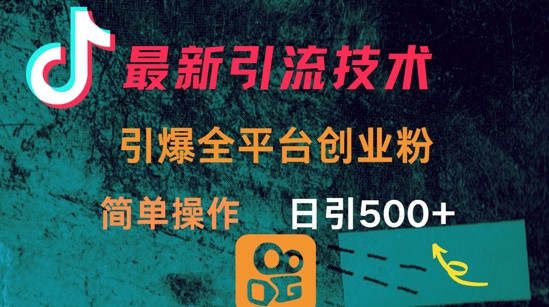 最新引流方法，引爆全平台的一个创业粉，简单操作日引300+-苍穹网创