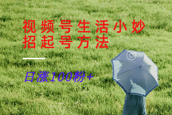 视频号生活小妙招分享赛道， 起号涨粉新方法，日涨100粉-苍穹网创