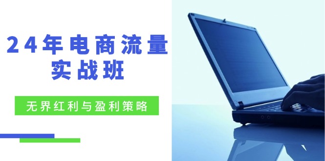 24年电商流量实战班：无界 红利与盈利策略，终极提升/关键词优化/精准…-苍穹网创