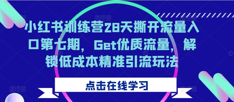 小红书训练营28天撕开流量入口第七期，Get优质流量，解锁低成本精准引流玩法-苍穹网创