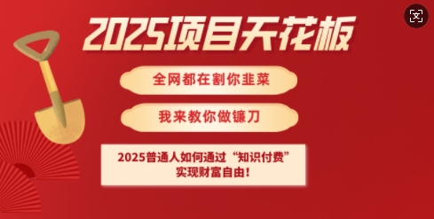 2025项目天花板普通人如何通过知识付费，实现财F自由【揭秘】-苍穹网创