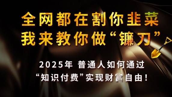 全网都在割你韭菜，我来教你做镰刀，2025普通人如何通过知识付费，实现财F自由【揭秘】-苍穹网创
